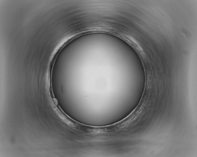 X0000112480796200908311410