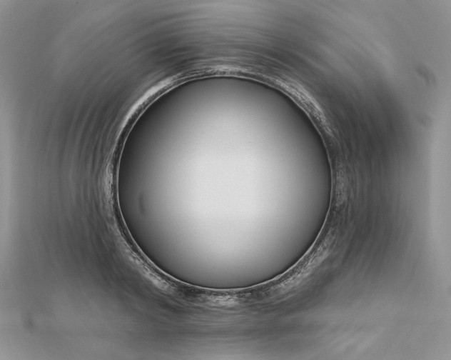 X0000112480798200908311410