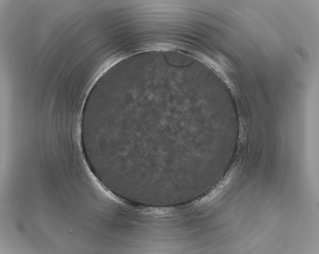 X0000112480802200908311410