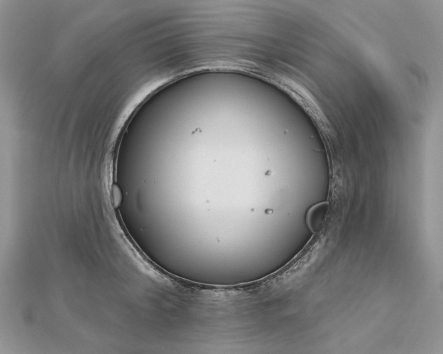 X0000112480804200908311410