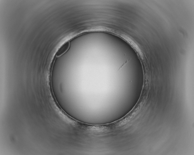 X0000112480805200908311410