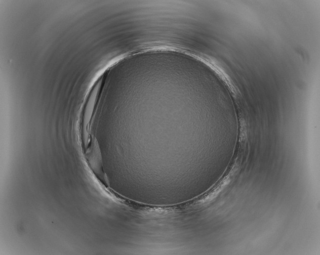 X0000112480806200908311410