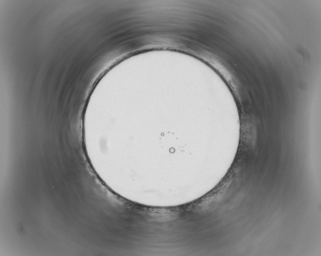 X0000112480807200908311410