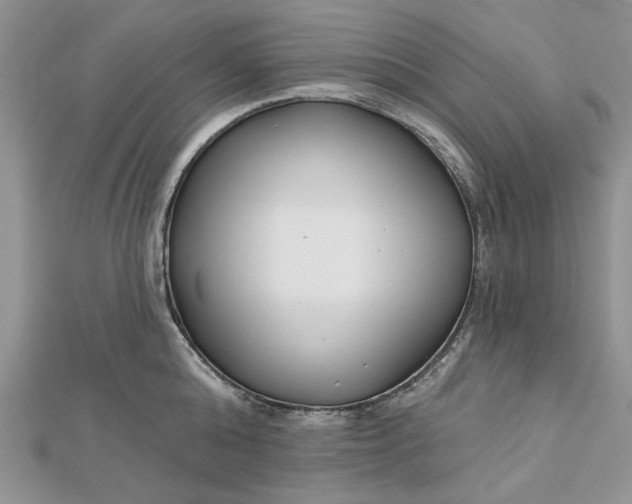 X0000112480808200908311410