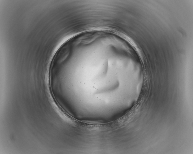 X0000112480811200908311410