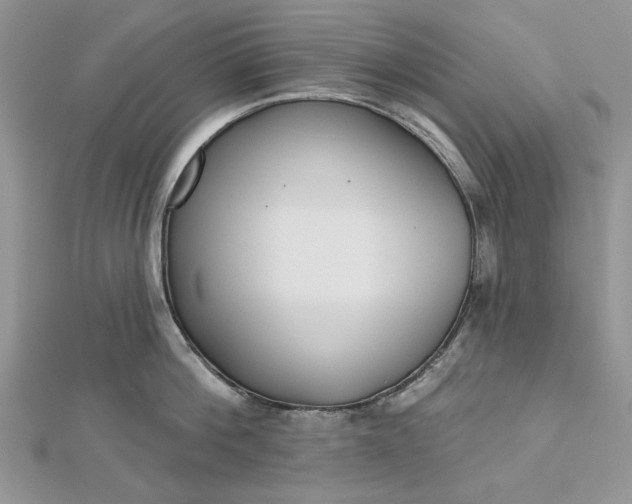 X0000112480812200908311410