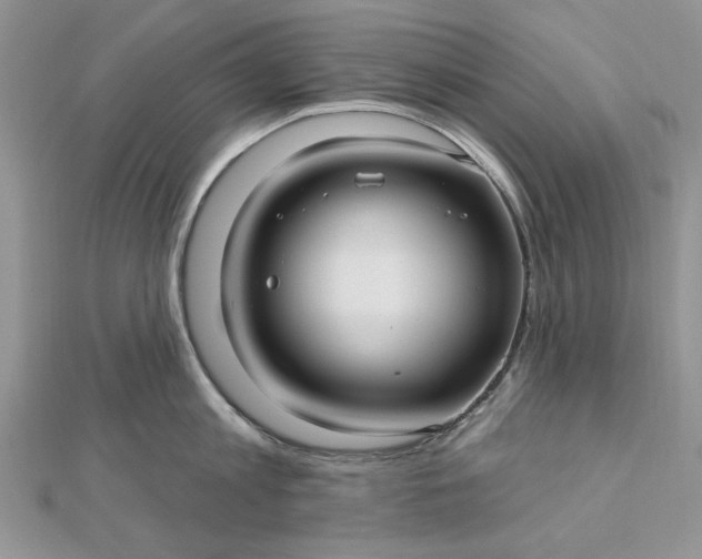 X0000112480813200908311410