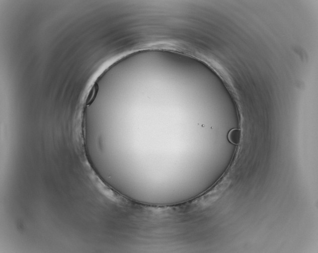 X0000112480816200908311409