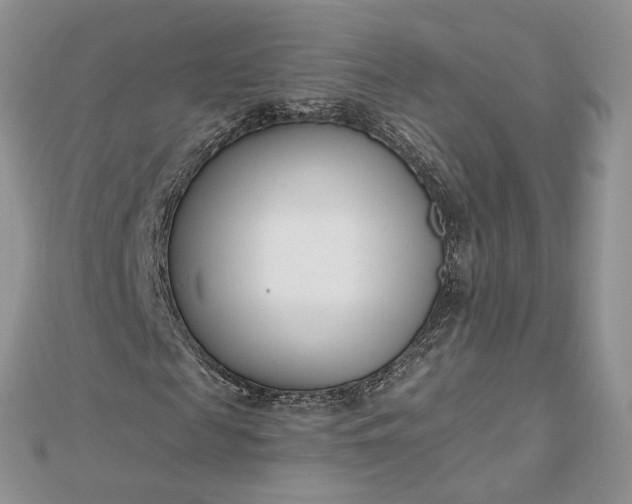 X0000112480817200908311409