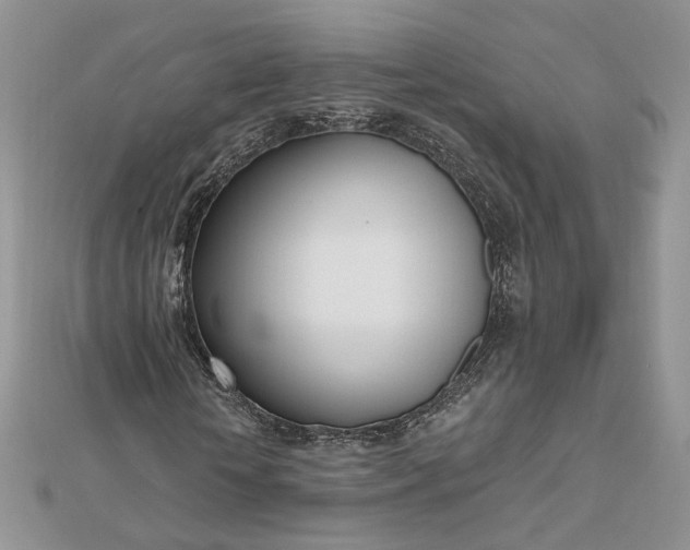 X0000112480818200908311409