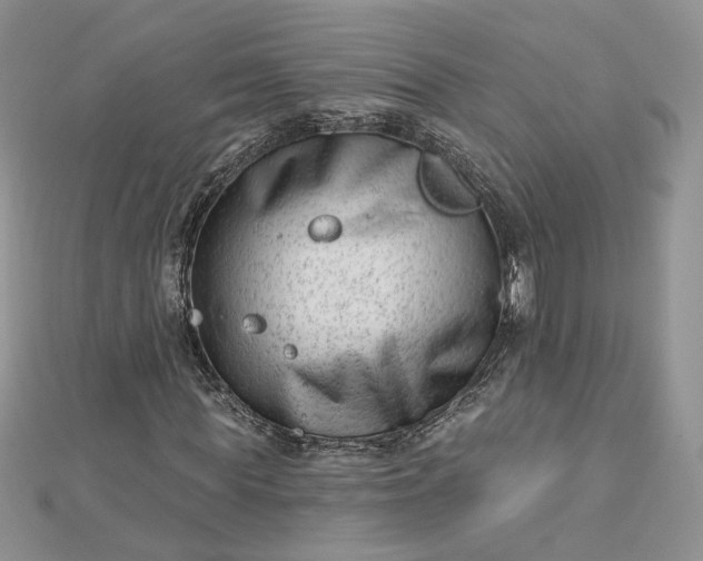 X0000112480819200908311409