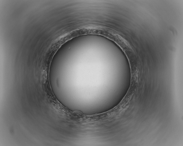 X0000112480821200908311409