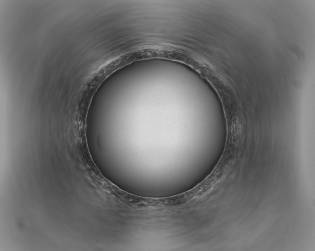 X0000112480822200908311409