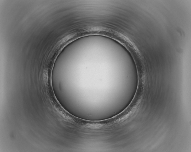 X0000112480825200908311409