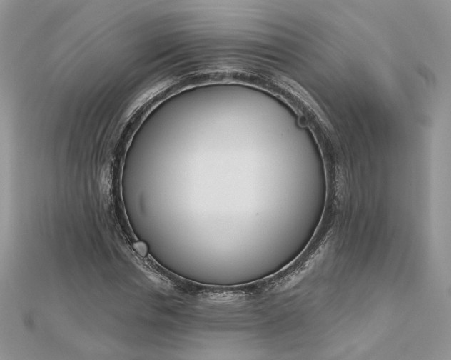 X0000112480826200908311409