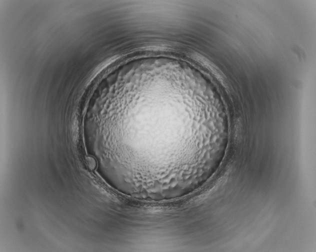 X0000112480829200908311409