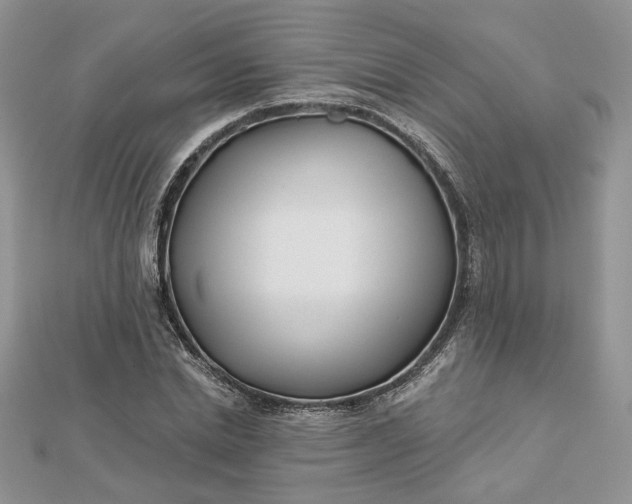 X0000112480830200908311409