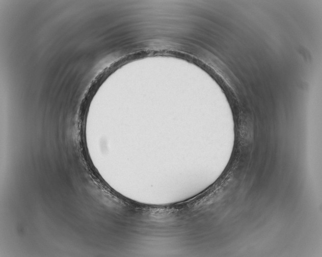 X0000112480832200908311409