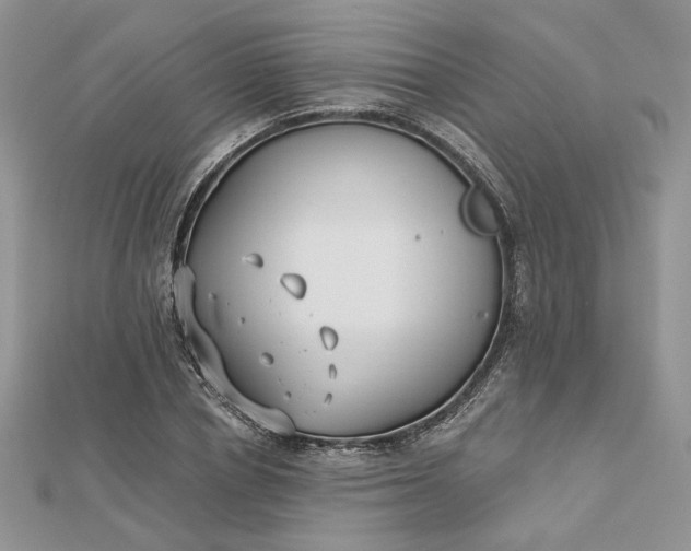 X0000112480834200908311409