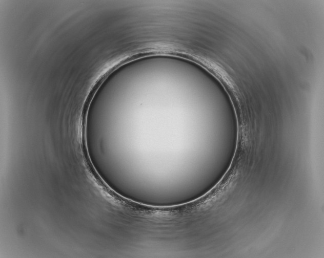 X0000112480839200908311409