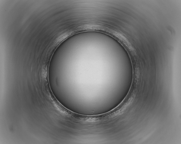 X0000112480841200908311409