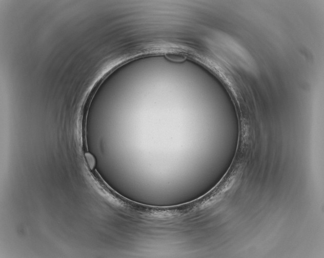 X0000112480843200908311409