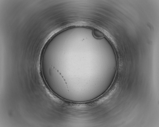 X0000112480845200908311409