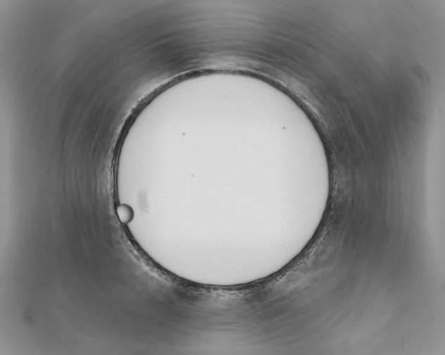 X0000112480848200908311409