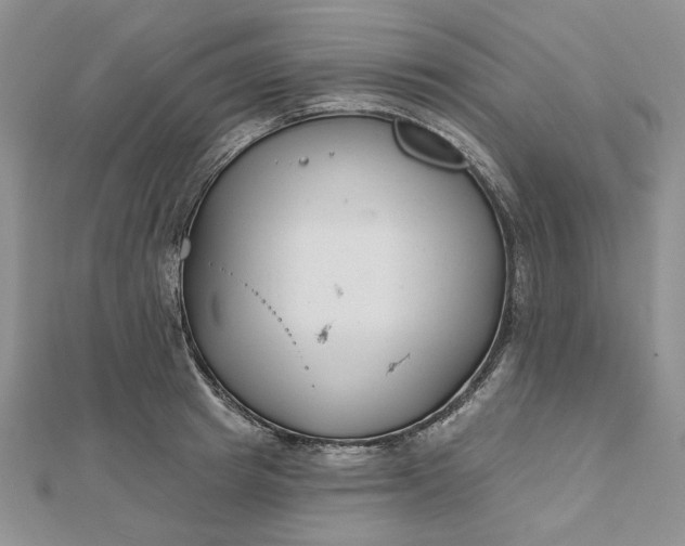 X0000112480849200908311409