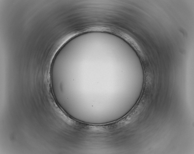 X0000112480852200908311409