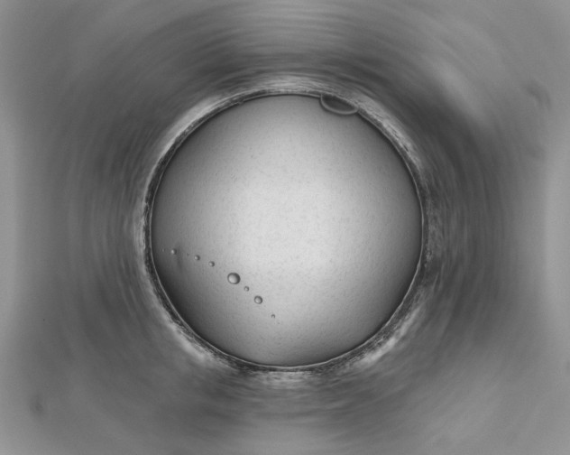 X0000112480853200908311409