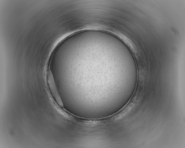 X0000112480854200908311409