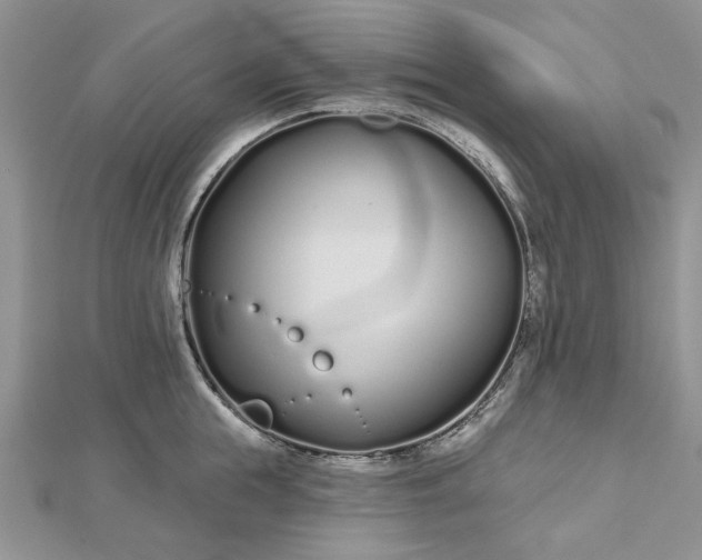 X0000112480855200908311409