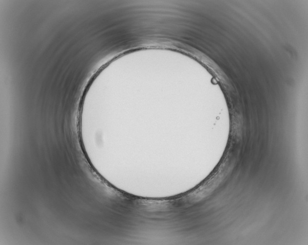 X0000112480856200908311409