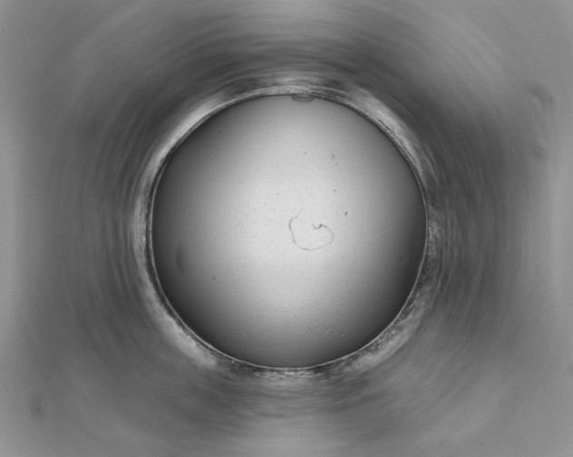 X0000112480859200908311409