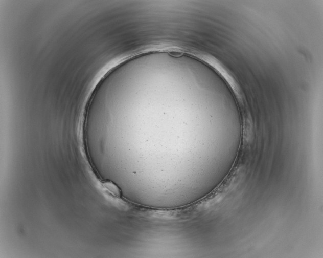 X0000112480861200908311409