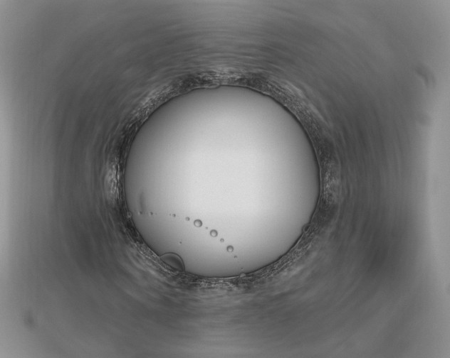 X0000112480866200908311409