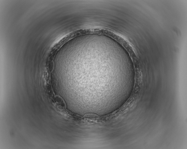 X0000112480871200908311409