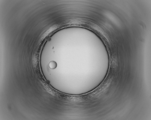 X0000112480874200908311409