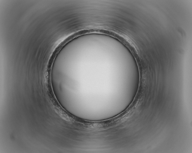 X0000112480879200908311409