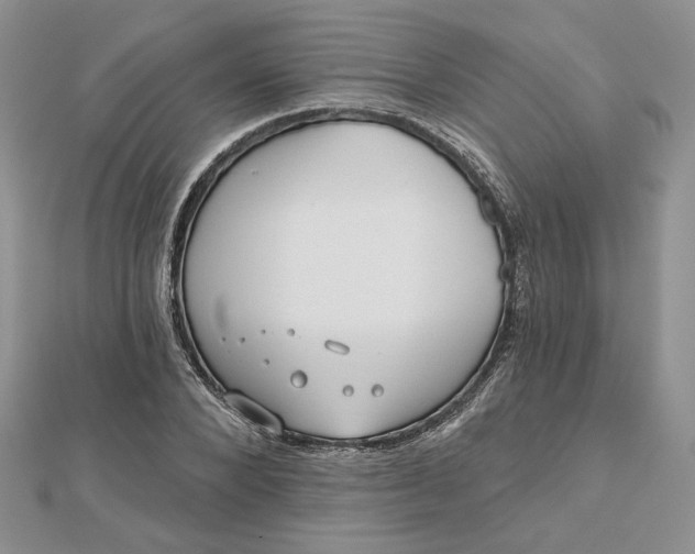 X0000112480880200908311409