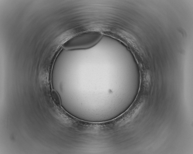 X0000112480881200908311409