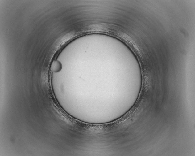 X0000112480882200908311409