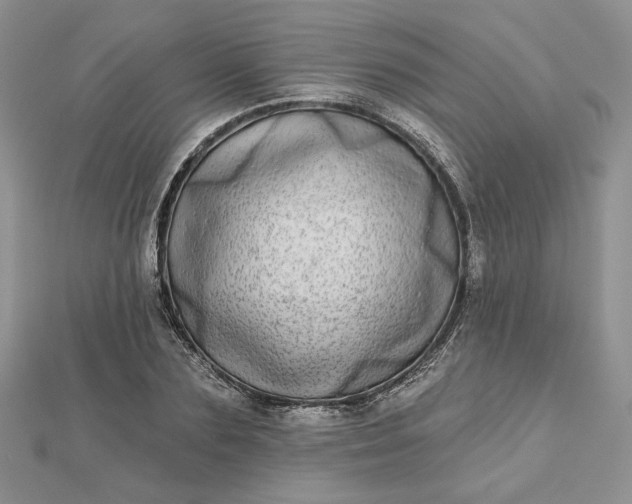 X0000112480883200908311409