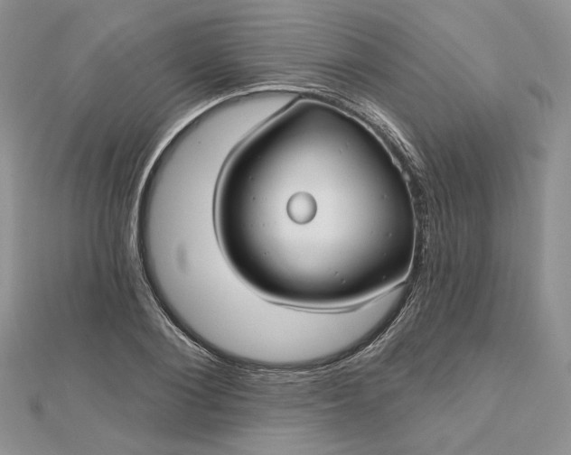 X0000112480884200908311408