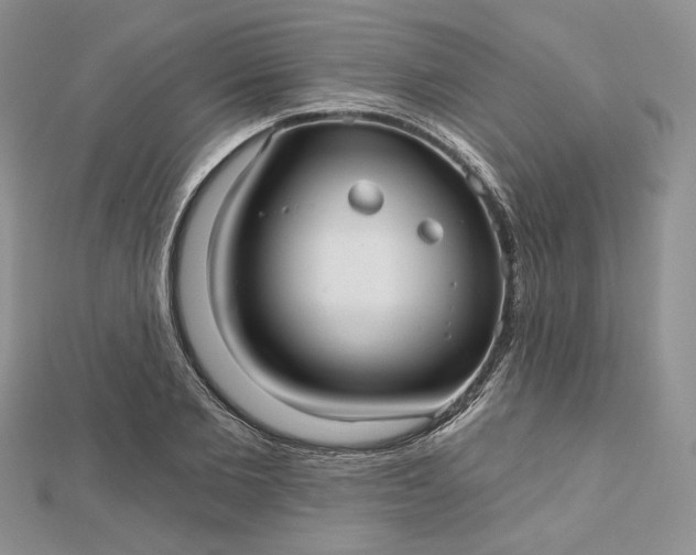 X0000112480885200908311408