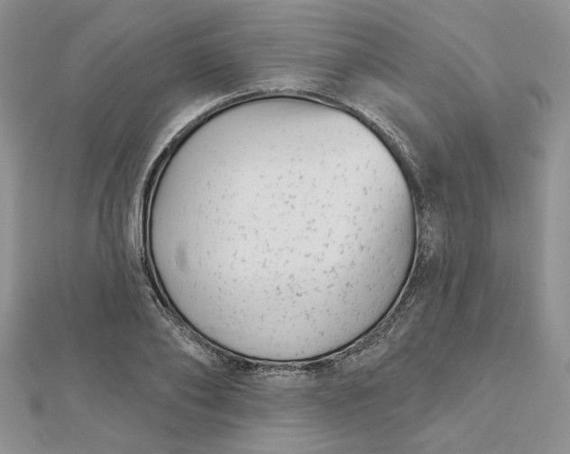 X0000112480886200908311408