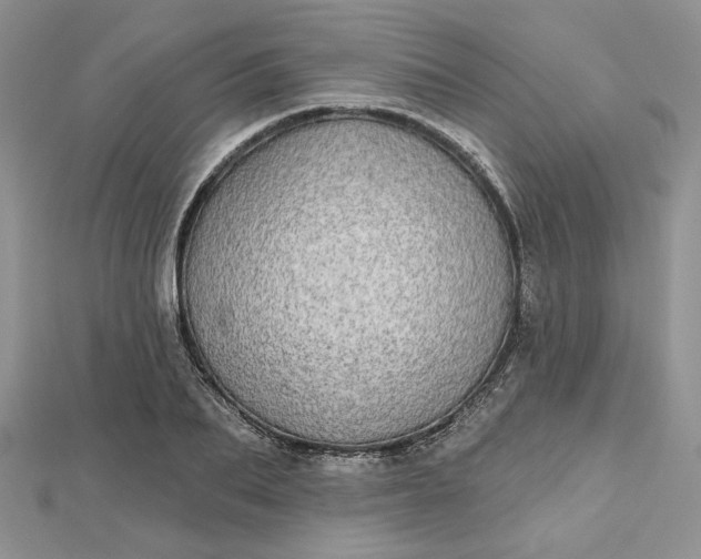 X0000112480887200908311408