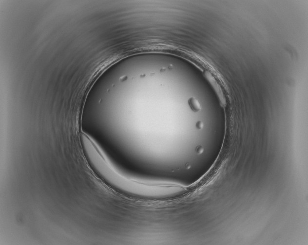 X0000112480889200908311408