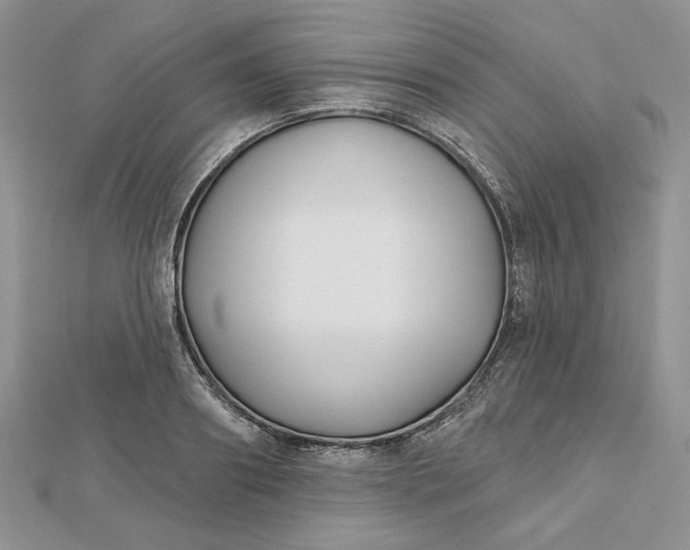 X0000112480890200908311408